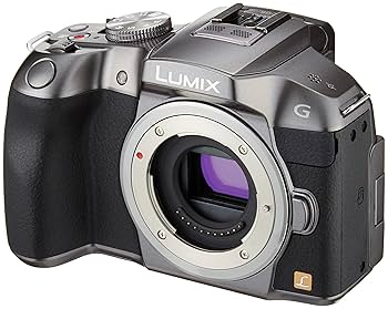 Panasonic DMC-G6 本体 バッテリー2個付き【値下げしました】 imgrc0103916992.jpg